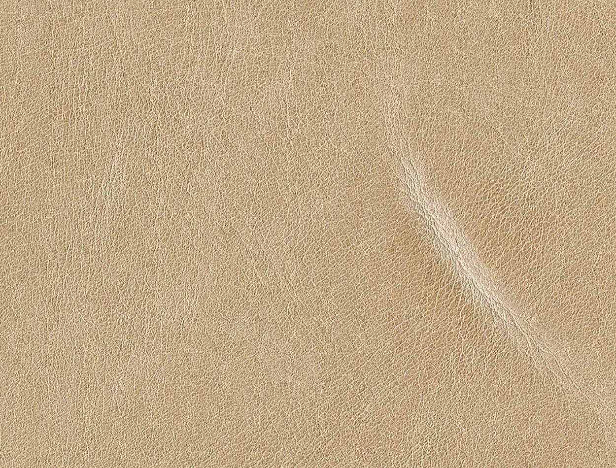 3845 sand