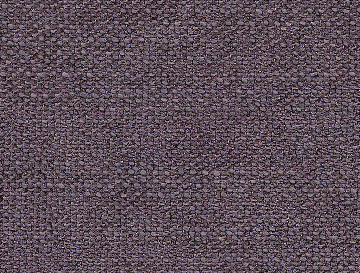 1173 purple